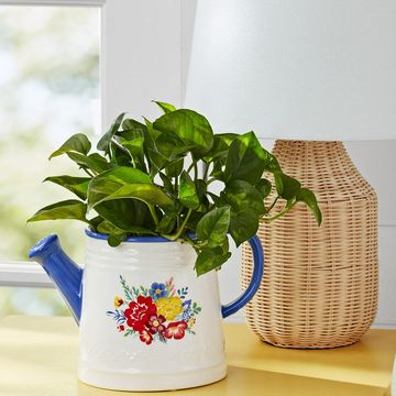 the pioneer woman watering can planter