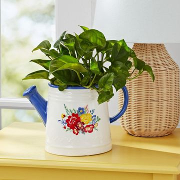 the pioneer woman watering can planter