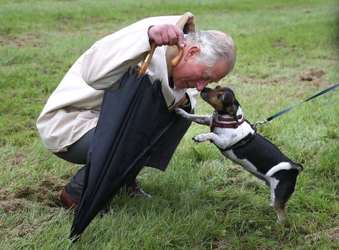 prince charles dog Royal visit to Cumnock