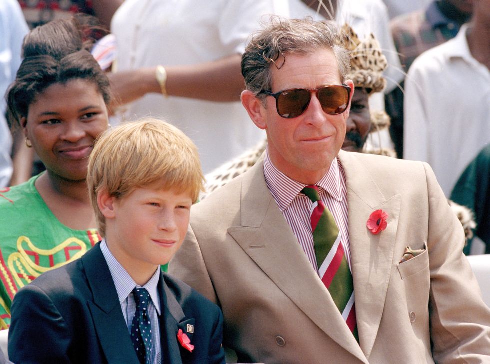 The Prince Of Wales & Prince Harry Visit South Africa