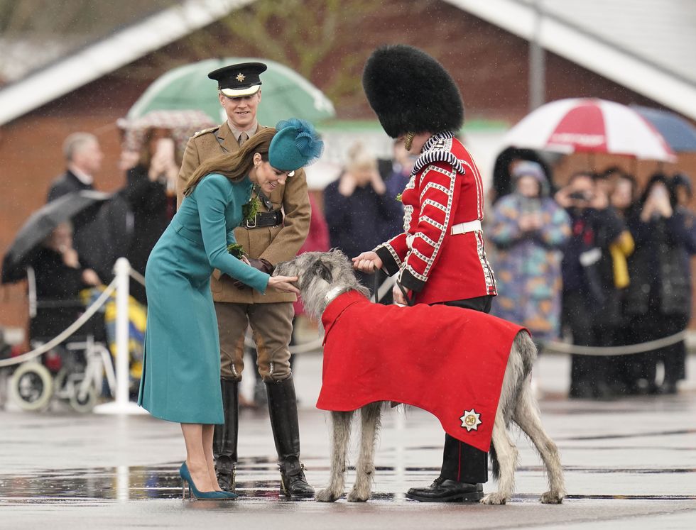 royal irish guards visit