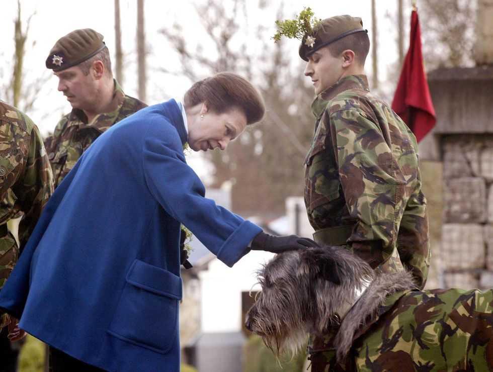 The Princess Royal ceremony on St Patricks day