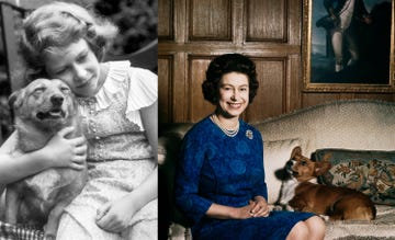 queen elizabeth ii with one of her corgis at sandringham, 1970 photo by fox photoshulton archivegetty images