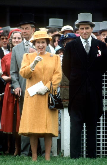 Queen Derby Pointing