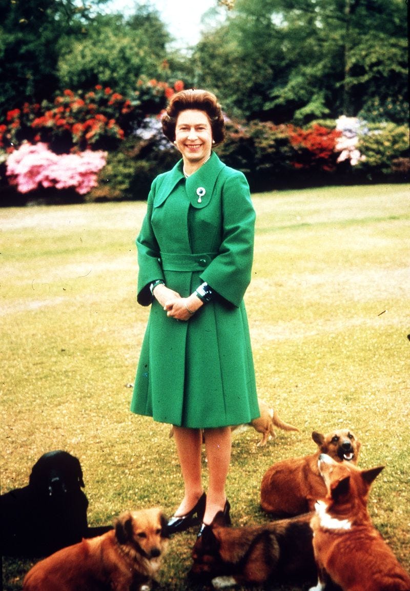 the queen corgis