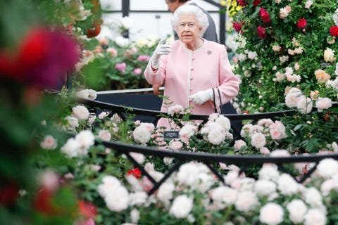 Chelsea Flower Show: 28 Fascinating Facts You Didn't Know