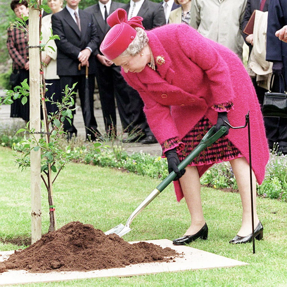 Queen Aberfan queen aberfan