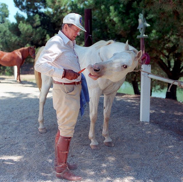 President Reagan feeding his horse "El Alamein" at Rancho Del Cielo