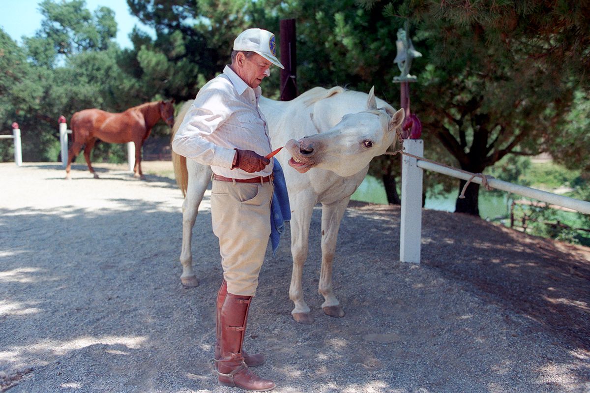 President Reagan feeding his horse "El Alamein" at Rancho Del Cielo