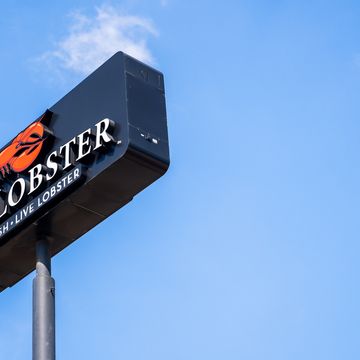red lobster files for bankruptcy protection