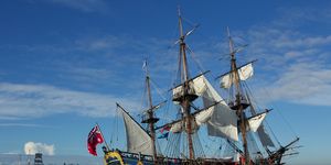 replica captain cook ship sails into sydney harbour