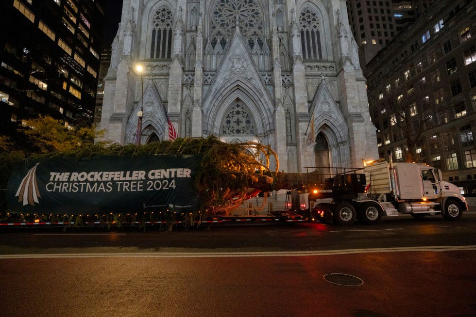 The Love Story Behind the 2024 Rockefeller Christmas Tree