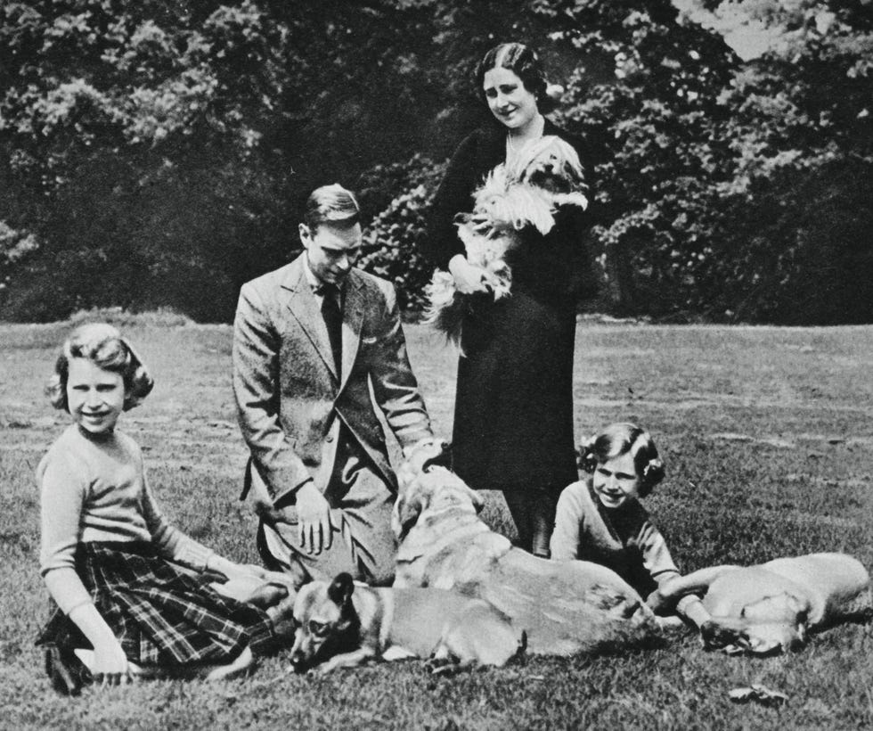 the royal family and their dogs