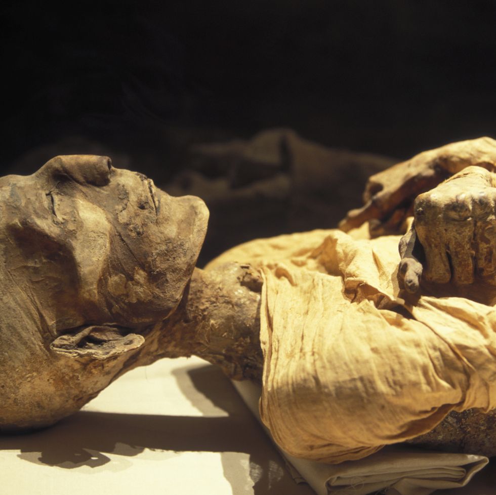 https://hips.hearstapps.com/hmg-prod/images/the-royal-mummy-of-merneptah-in-april-2006-at-cairo-museum-news-photo-1680546057.jpg?crop=0.668xw:1.00xh;0,0&resize=980:*