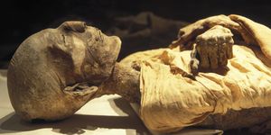 egypt's mummies