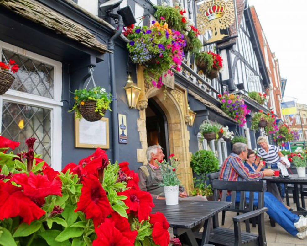 Best dog friendly pubs