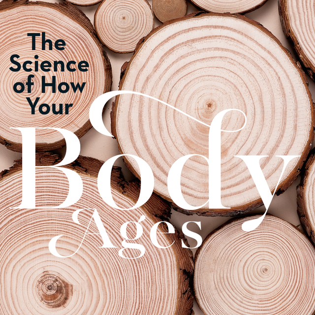 How the Aging Process Works Biology Diagrams