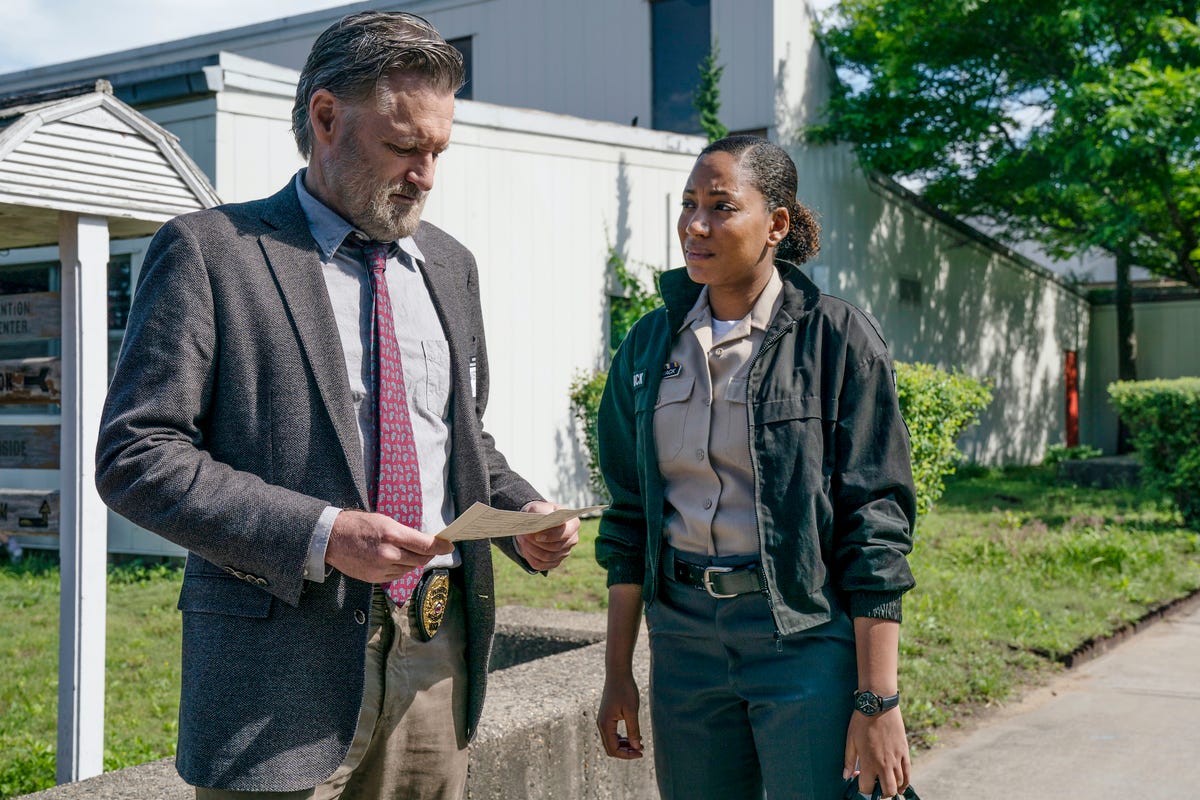 The Sinner Season 3 Imdb