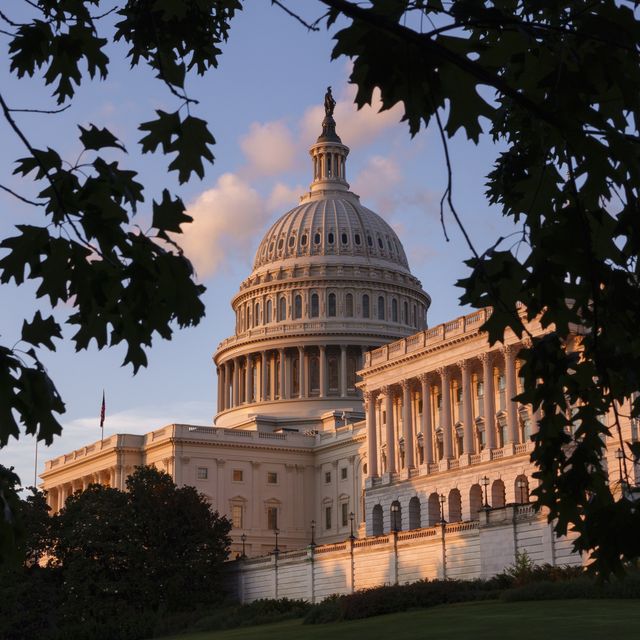 u.s, capitol building exterior