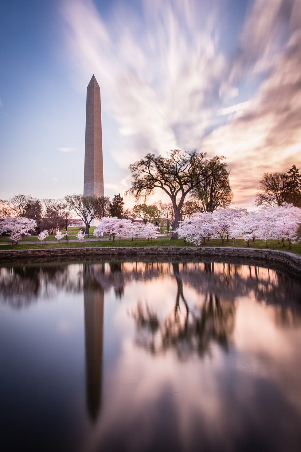 the washington monument during the cherry blossom festival, washington dc, north america