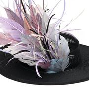 Feather, Violet, Pink, Headpiece, Purple, Fashion accessory, Costume accessory, Costume hat, Headgear, Hat, 