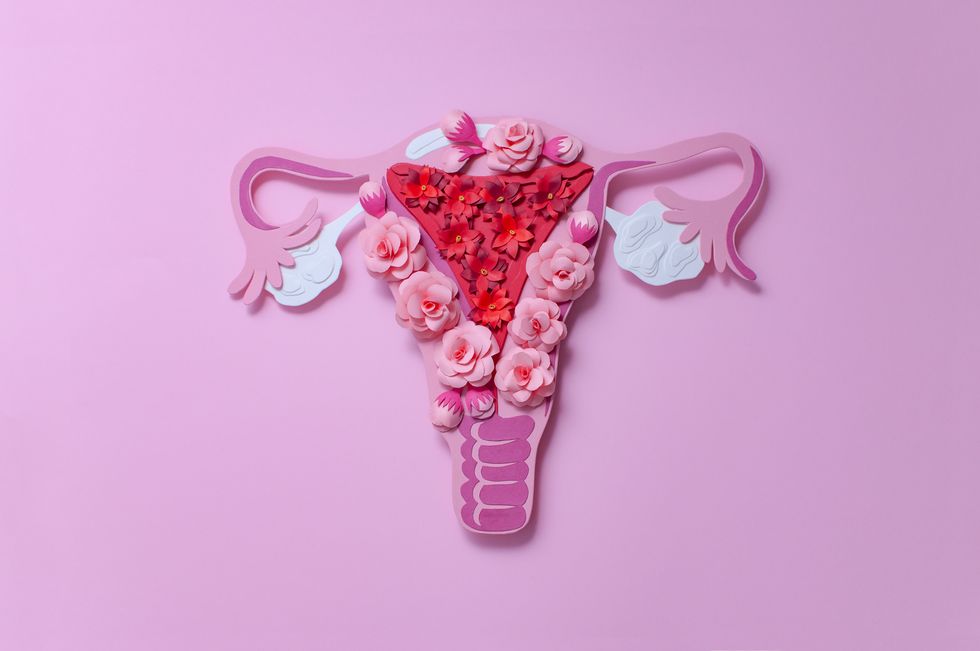 the womens reproductive system the concept of womens health paper flowers