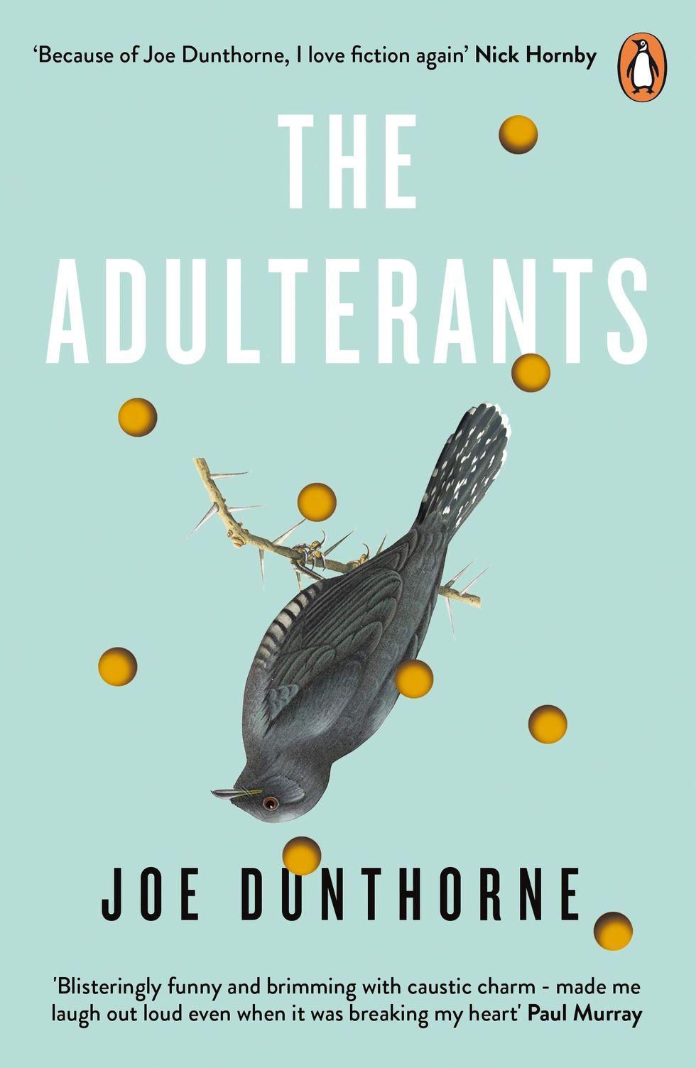the adulterants by joe dunthorne book jacket
