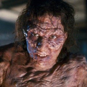 the fly the fly