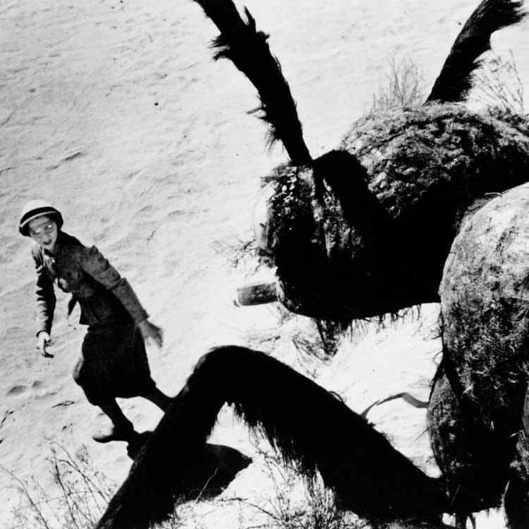 them, movie, giant mutant ants, mojave desert, california, alta journal