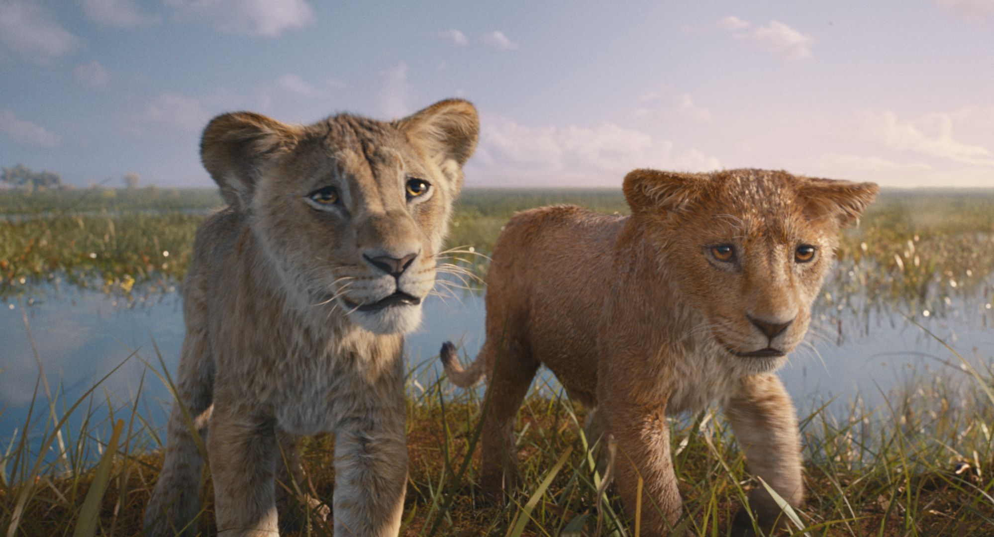 When will Mufasa: The Lion King be available to watch on Disney+?