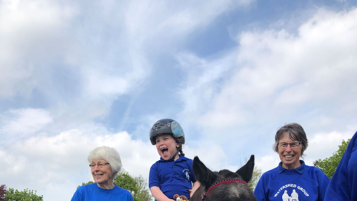 preview for Taking the reins: How therapy horses change the lives of riders, carers and volunteers alike