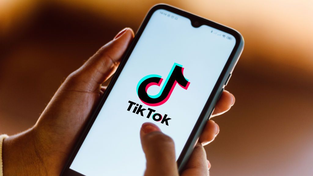 TikTok Mobile View