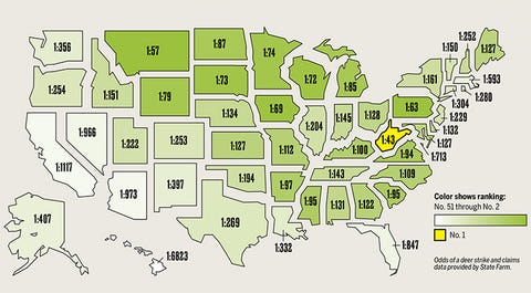 odds of a deer strike state map