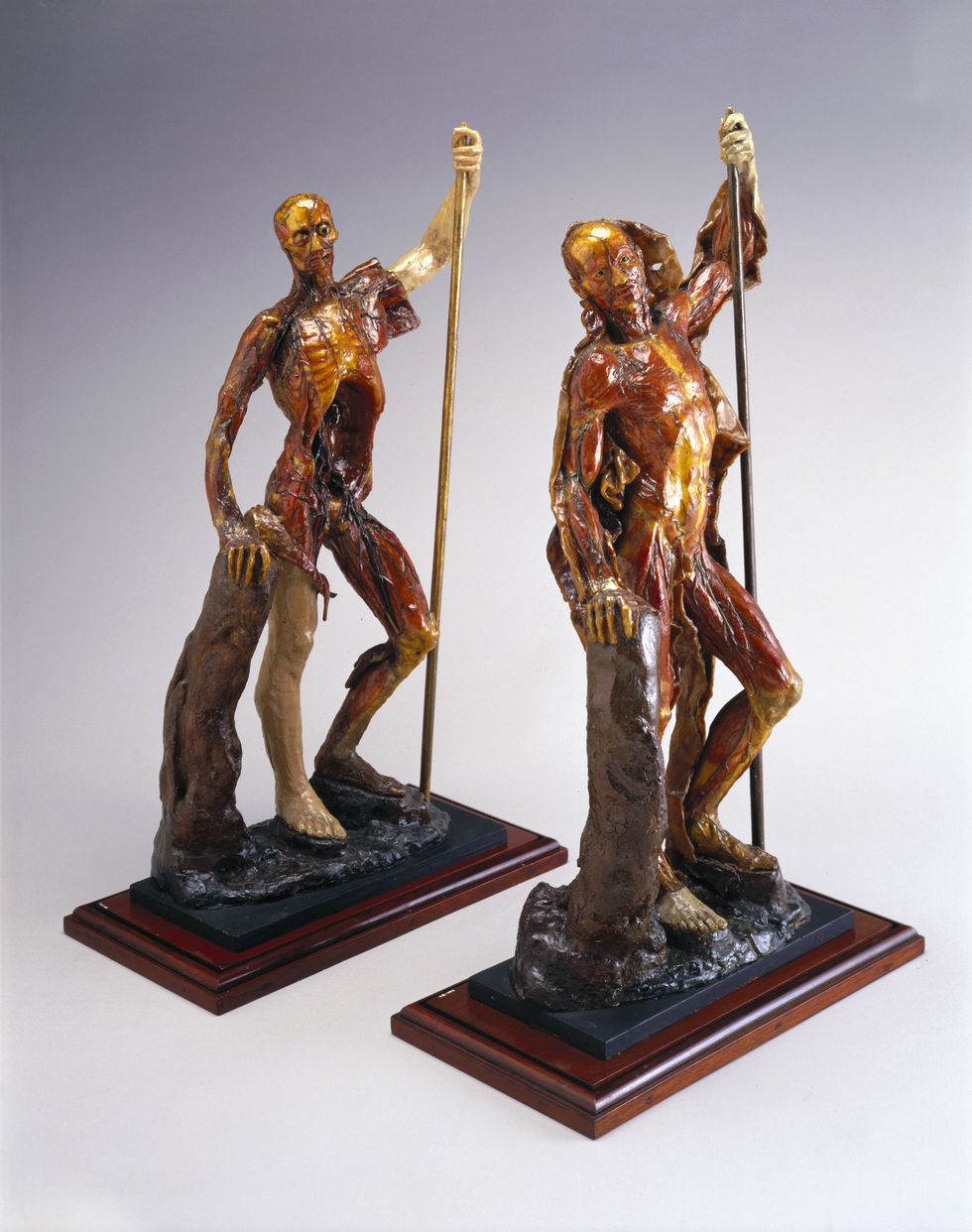 Two wax male anatomical figures, Italy, 1740-1780.