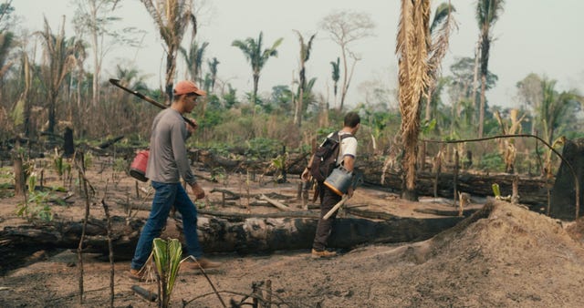 Wat eens bos was is nu een verkoold landschap doordat kolonisten de beschermde gebieden van het Amazoneregenwoud binnendringen