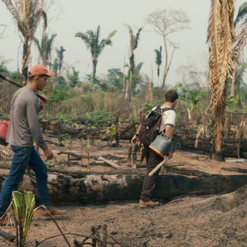 Wat eens bos was is nu een verkoold landschap doordat kolonisten de beschermde gebieden van het Amazoneregenwoud binnendringen