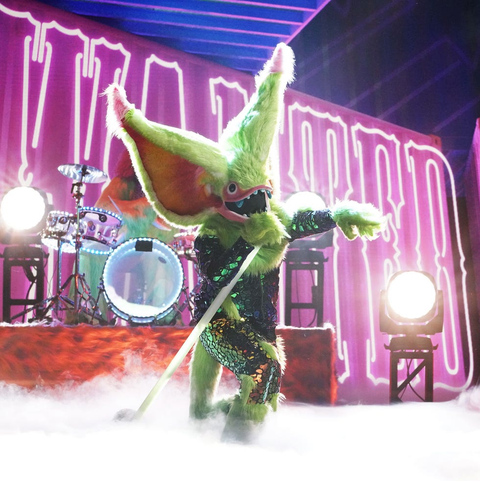 fox's the masked singer