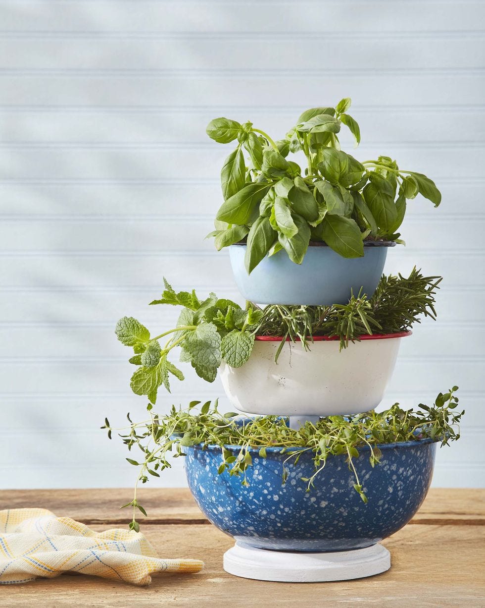 herb stand made out of vintage bowls