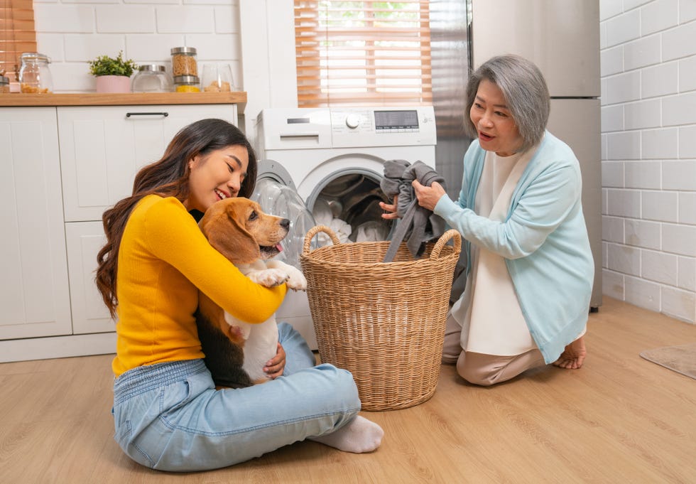things you can put in the washing machine