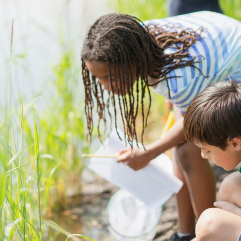two children near a creek doing a science experiment