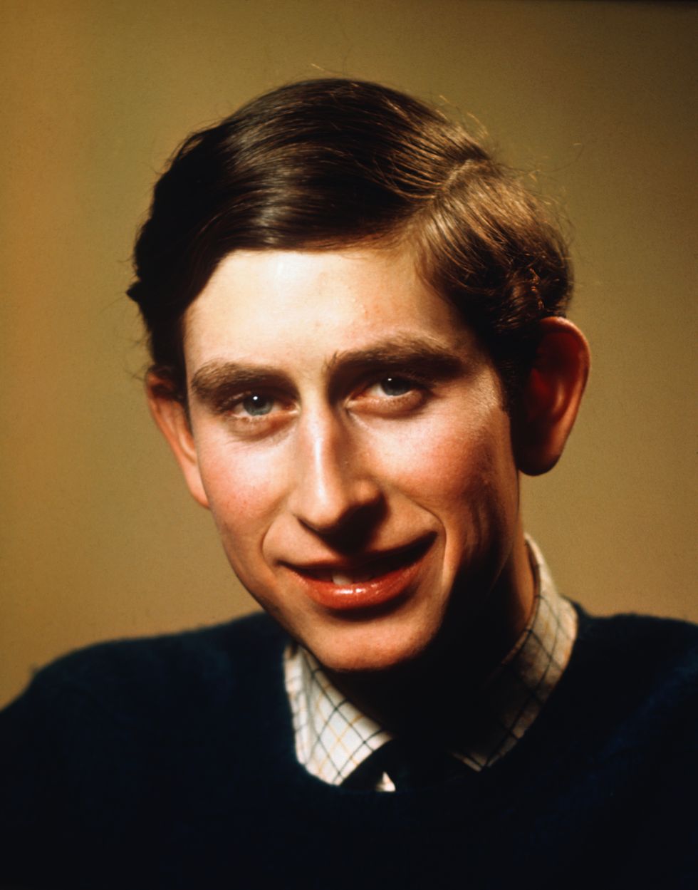 portrait of prince charles