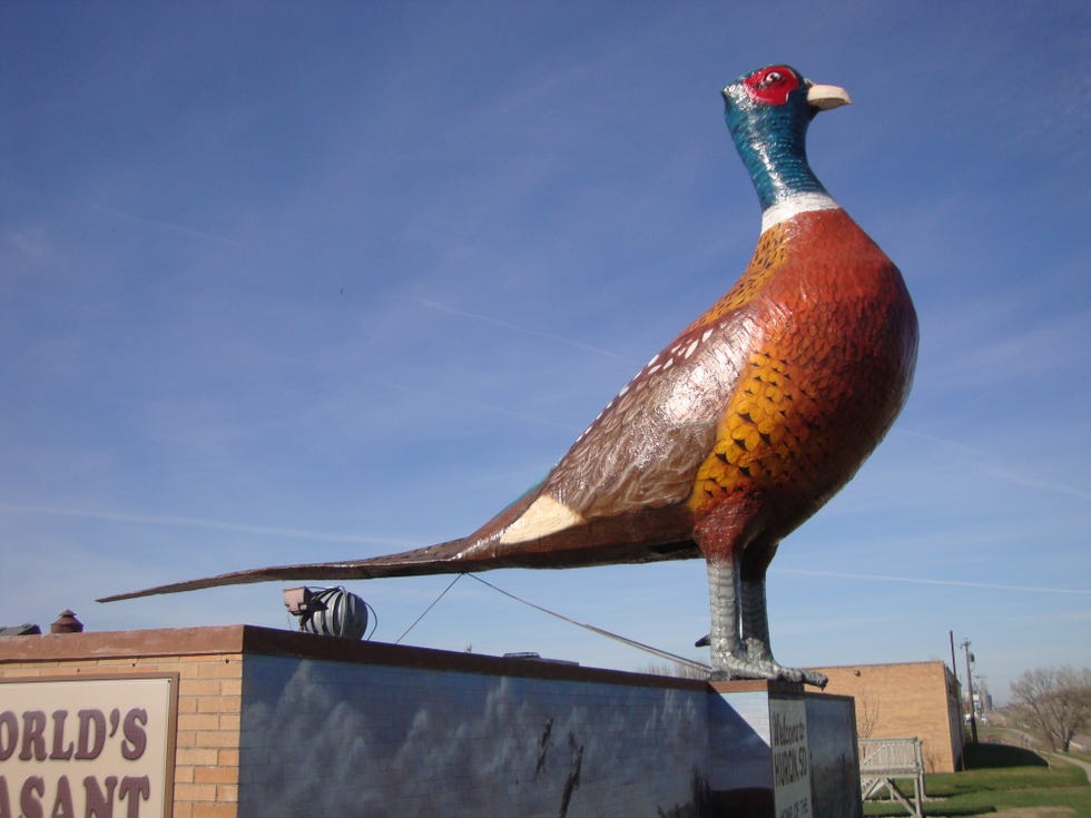 oldest roadside attractions largest pheasant