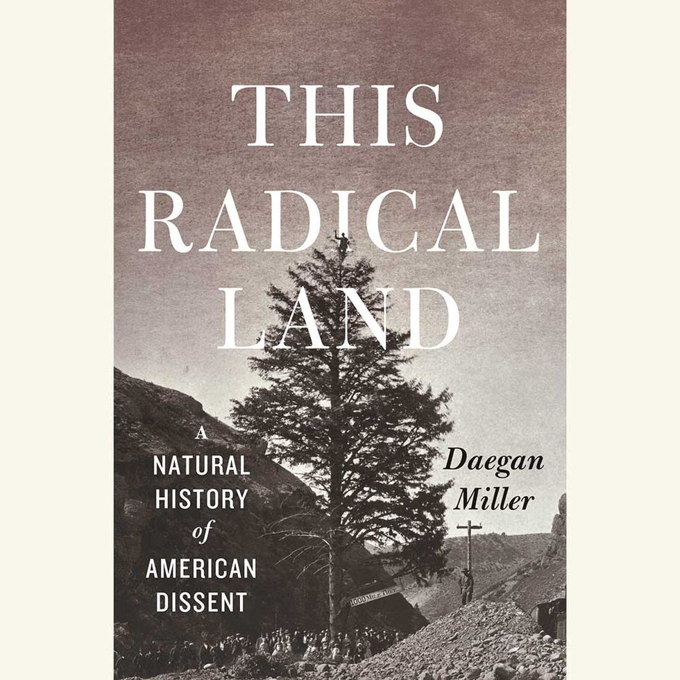 this radical land, daegan miller
