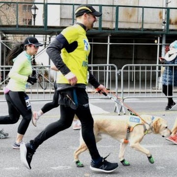 Running, Recreation, Sports, Canidae, Sporting Group, Exercise, Companion dog, Cani cross, Running, Recreation, Sports, Canidae, Sporting Group, Exercise, Companion dog, Cani cross,