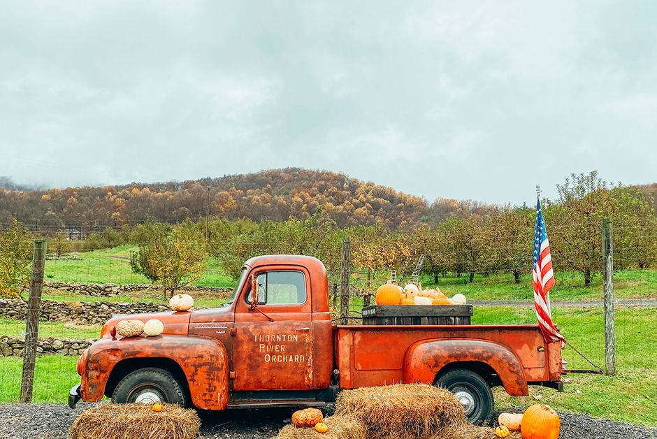 vintage truck at thorton river orchard in sperryville