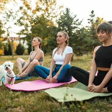 three female friends and maltese dog practicing yoga at public park