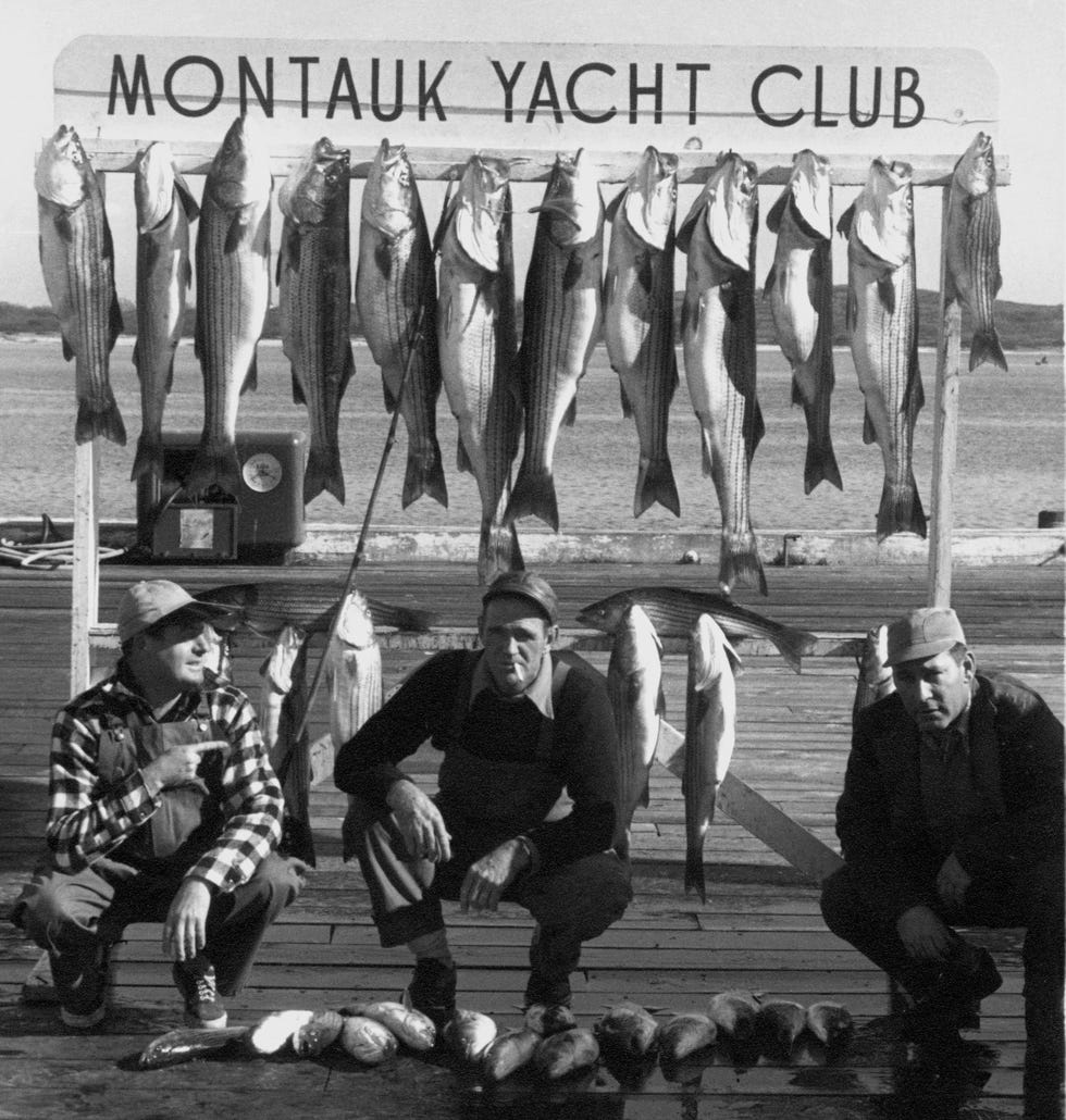 striped bass at montauk yacht club
