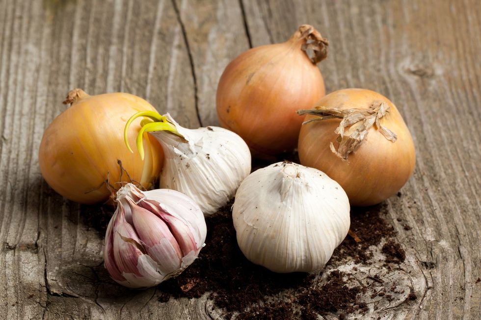 three onion heads and three heads of garlic