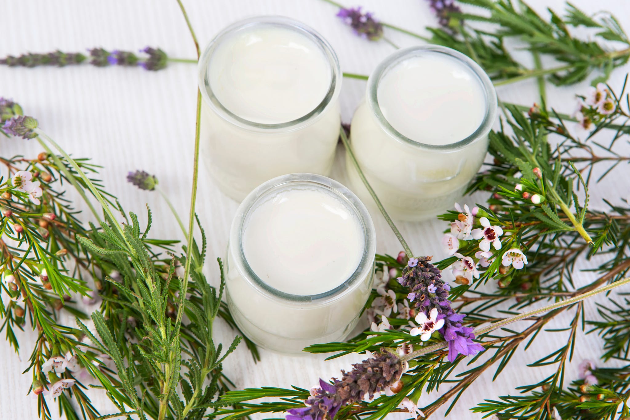 Kefir: benefici e come preparare il kefir di latte e vegan - greenMe