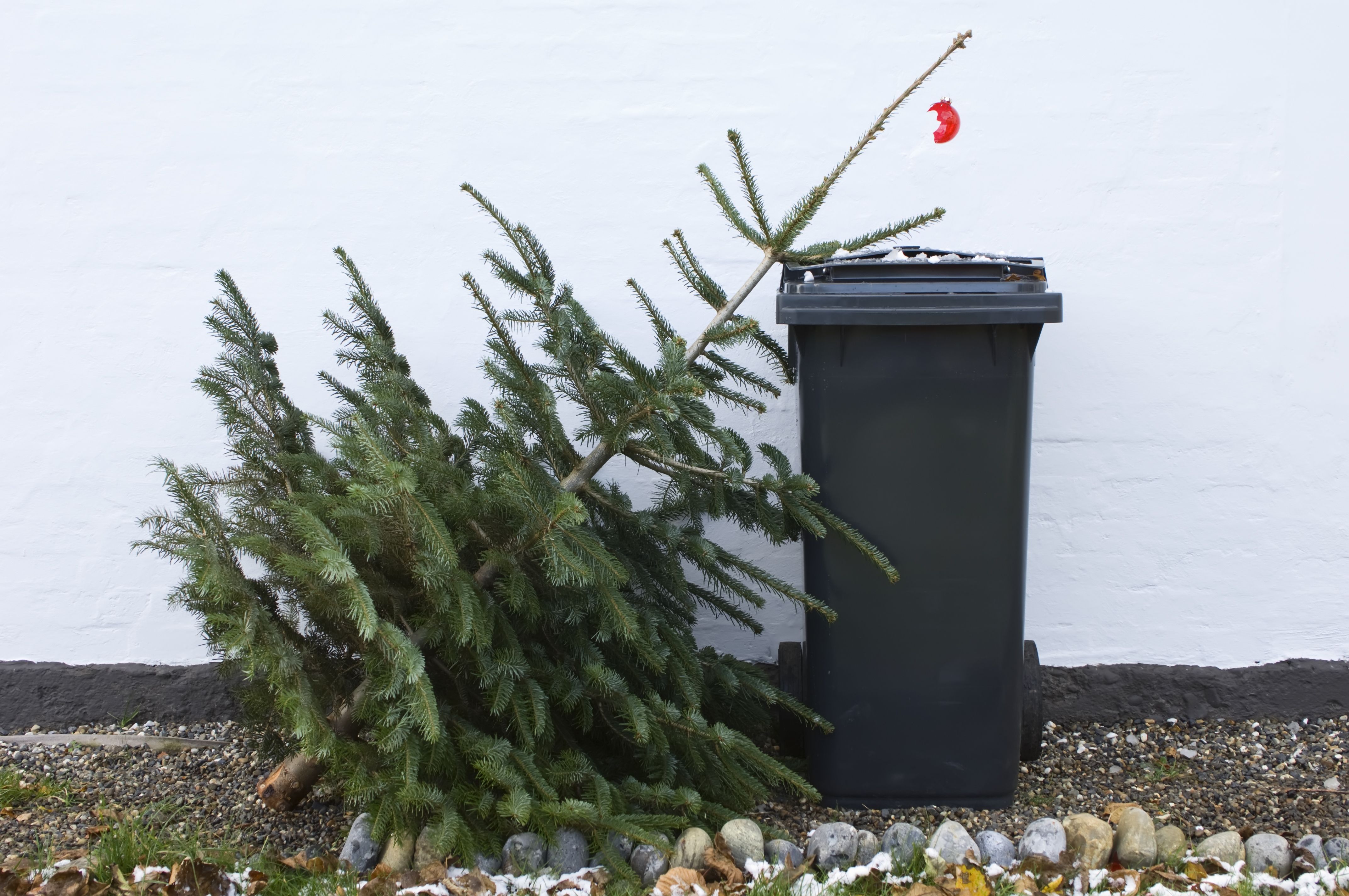 christmas tree comes down